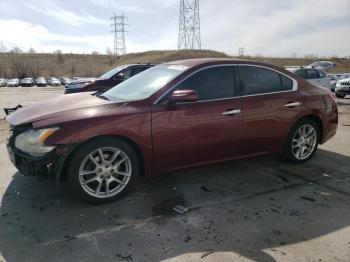  Salvage Nissan Maxima