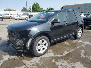  Salvage Ford Edge