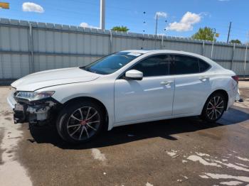  Salvage Acura TLX