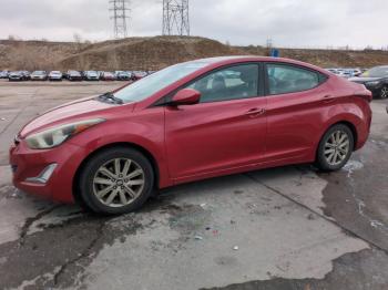  Salvage Hyundai ELANTRA