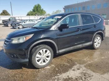  Salvage Honda Crv