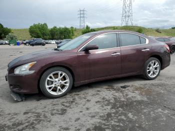  Salvage Nissan Maxima