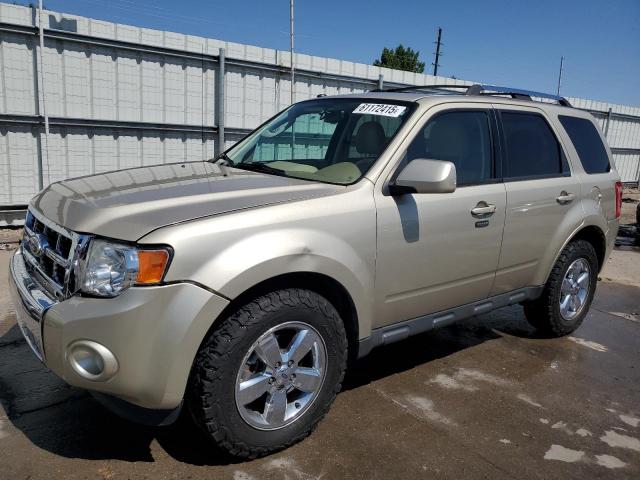  Salvage Ford Escape