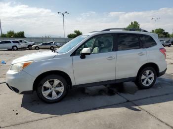  Salvage Subaru Forester