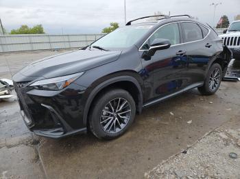  Salvage Lexus NX