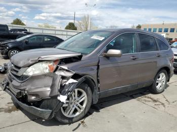  Salvage Honda Crv