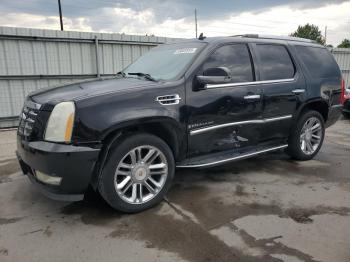  Salvage Cadillac Escalade