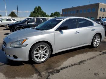  Salvage Nissan Maxima