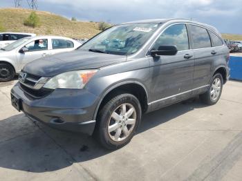  Salvage Honda Crv