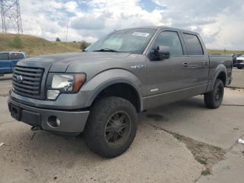  Salvage Ford F-150