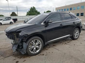 Salvage Lexus RX