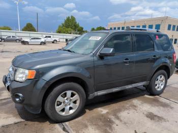  Salvage Ford Escape