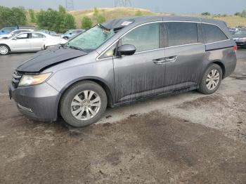  Salvage Honda Odyssey