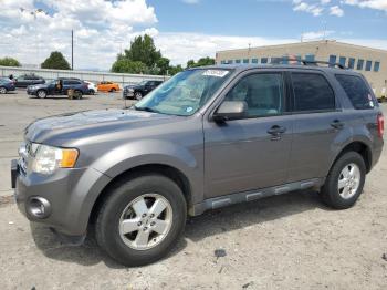  Salvage Ford Escape