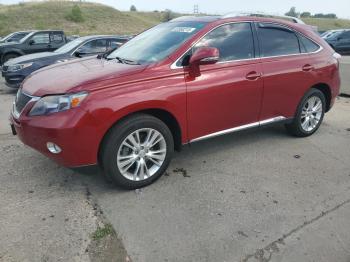  Salvage Lexus RX