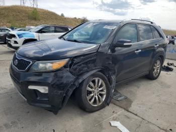  Salvage Kia Sorento
