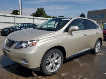  Salvage Lexus RX