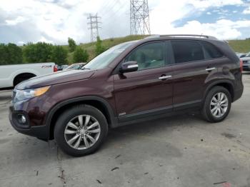  Salvage Kia Sorento