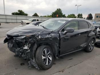  Salvage Lexus NX