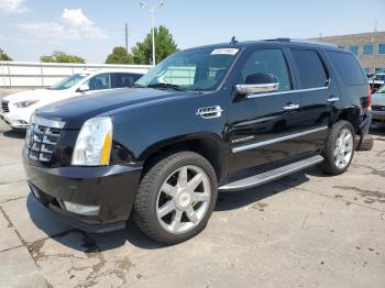  Salvage Cadillac Escalade