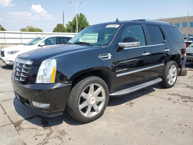  Salvage Cadillac Escalade