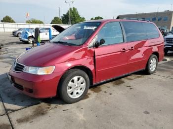  Salvage Honda Odyssey