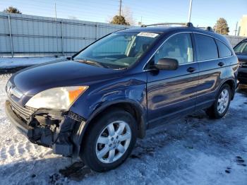  Salvage Honda Crv