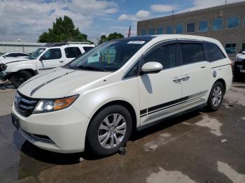  Salvage Honda Odyssey