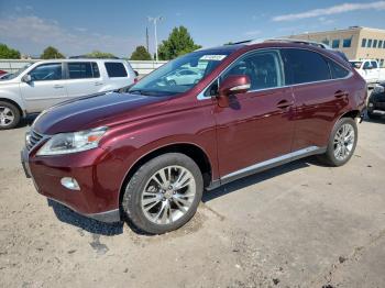  Salvage Lexus RX