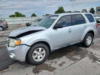  Salvage Ford Escape