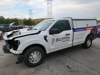  Salvage Ford F-150