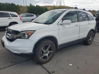  Salvage Honda Crv