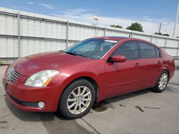  Salvage Nissan Maxima