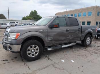  Salvage Ford F-150