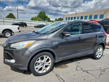  Salvage Ford Escape