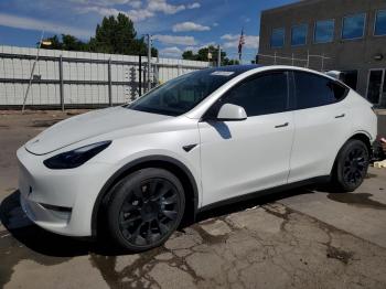  Salvage Tesla Model Y