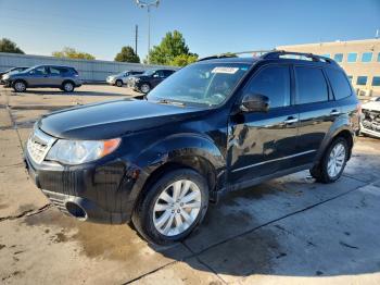  Salvage Subaru Forester