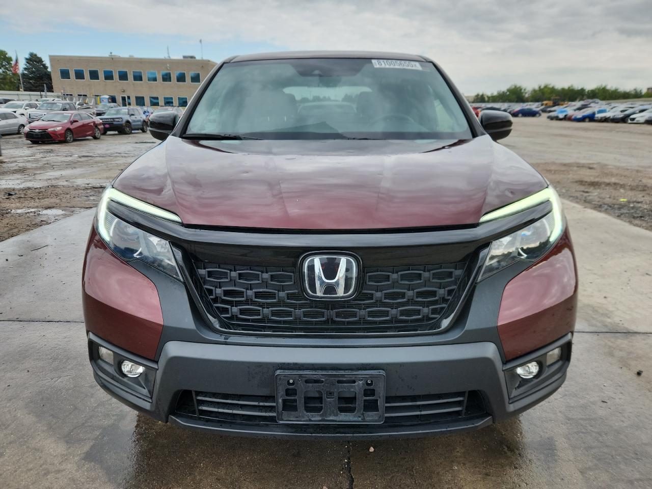 Honda Passport Sport Image 6