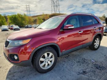  Salvage Kia Sorento