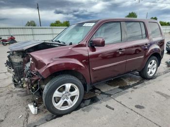  Salvage Honda Pilot