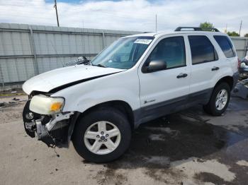  Salvage Ford Escape