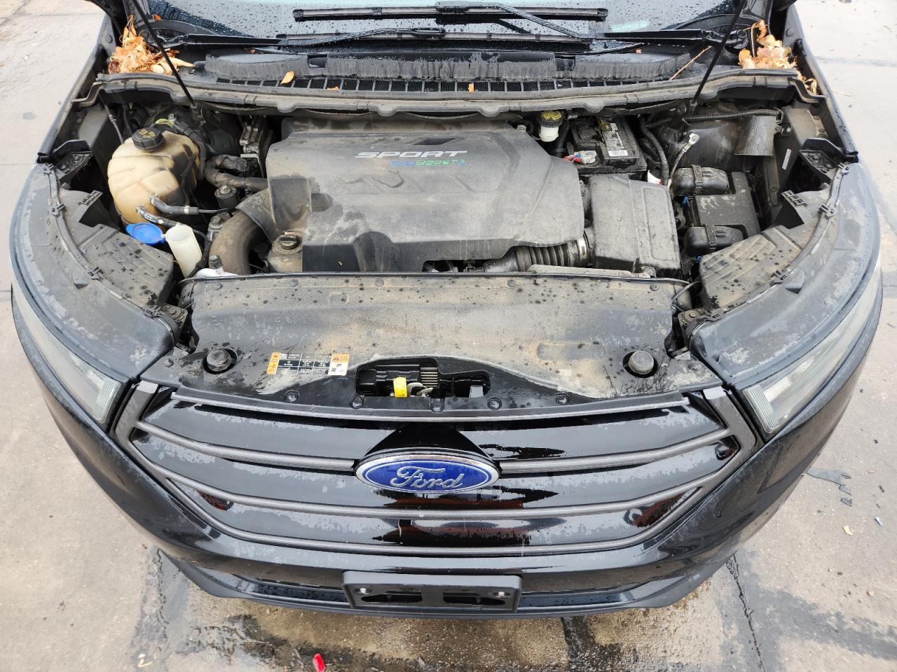 Ford Edge Sport Image 7