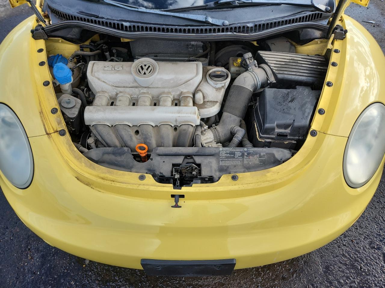 Volkswagen Beetle 2.5l Option Package 1 Image 9