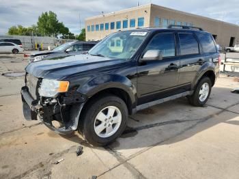 Salvage Ford Escape