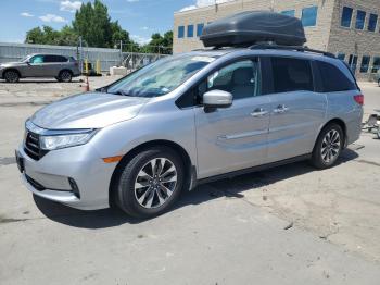  Salvage Honda Odyssey