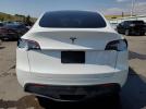 Tesla Model Y Image 3