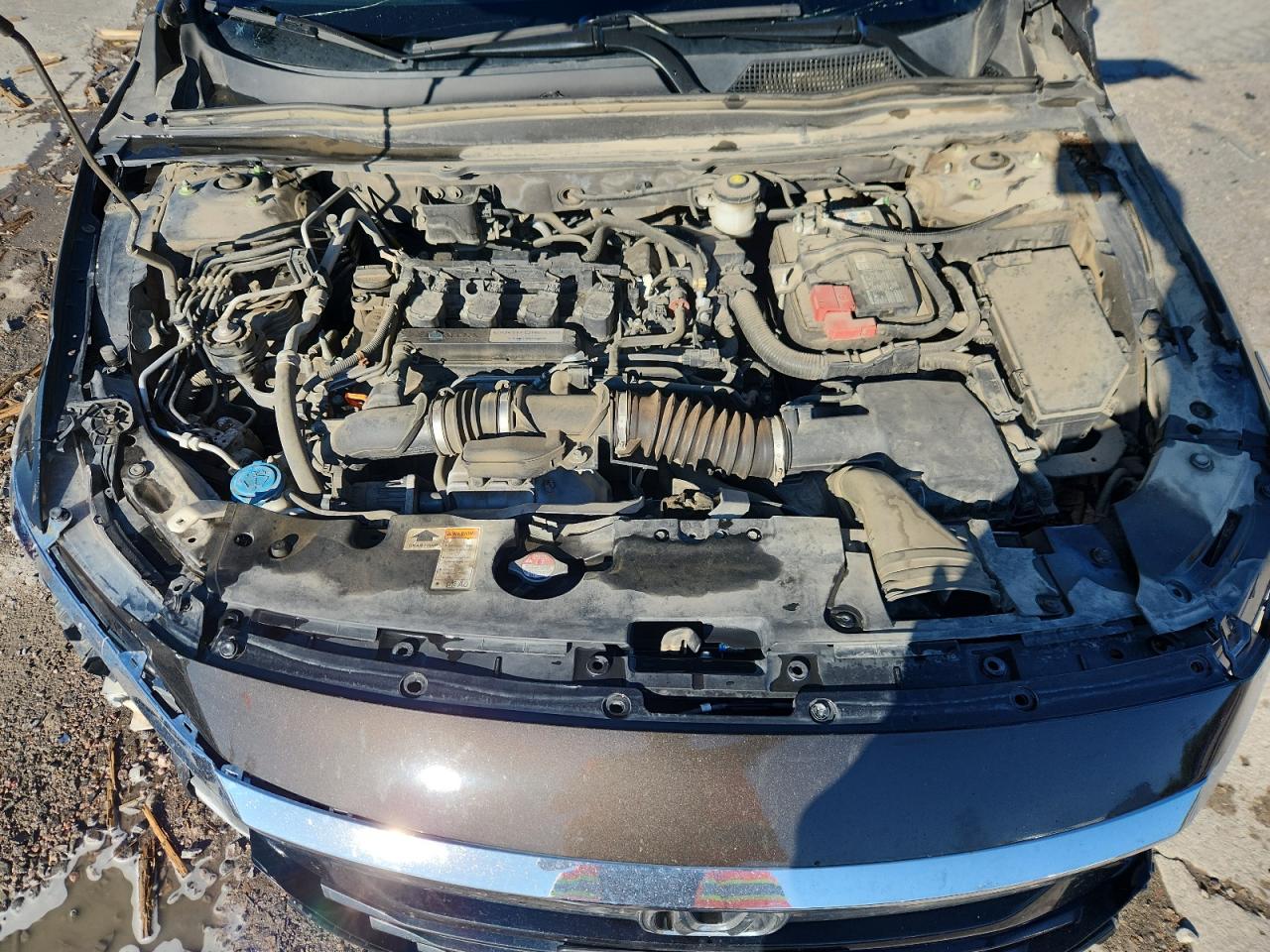 Honda Accord Lx Image 12