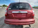 Honda Crv Exl Image 5