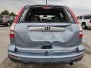 Honda Crv Exl Image 3