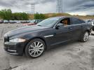 Jaguar XJ Image 1